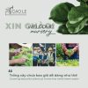 CAO LÊ NURSERY GARDEN – KIẾN TẠO MẢNG XANH, NÂNG TẦM CUỘC SỐNG